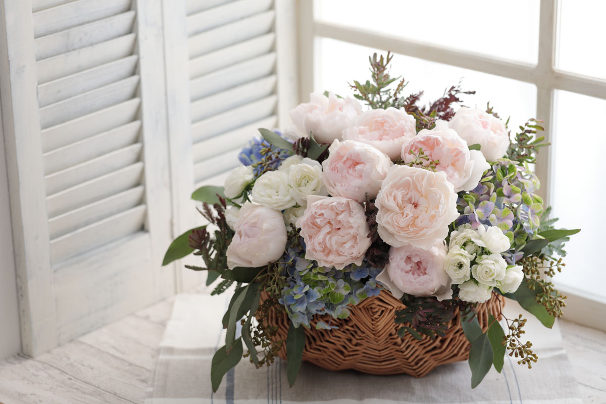 あおいとりコーポレーション